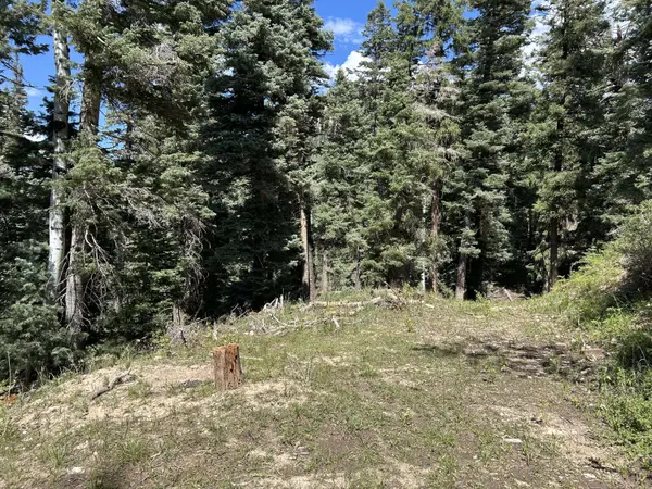 6380 W Kodiak DR 10, Duck Creek, UT 84762