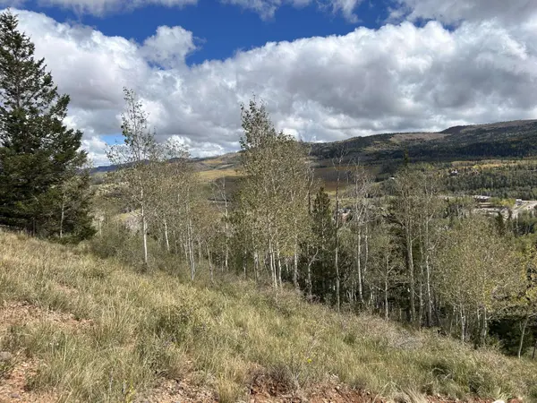 524 W Ski View DR, Brian Head, UT 84719