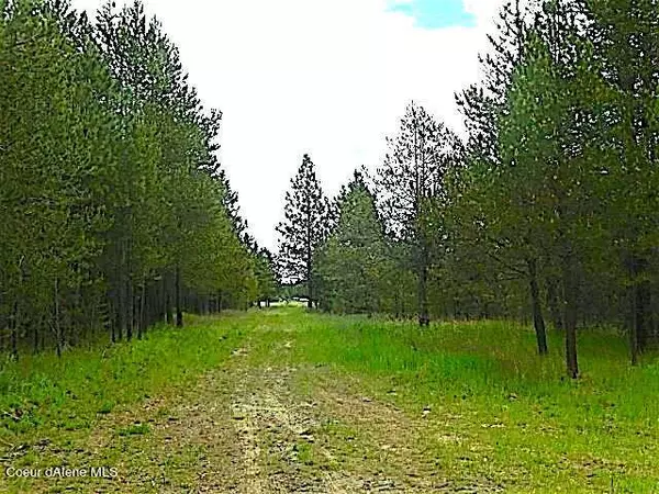 NKA HWY 95, Athol, ID 83801