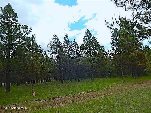 NKA HWY 95, Athol, ID 83801