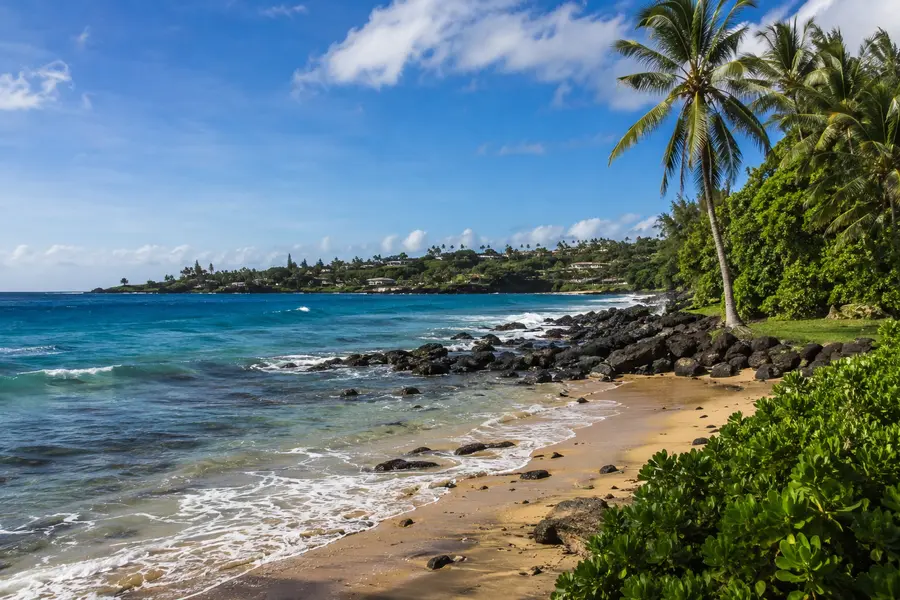 Koloa