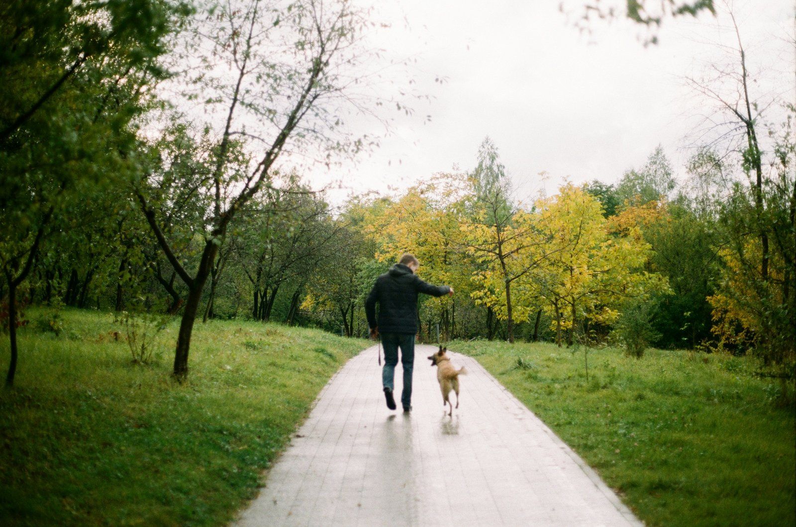 Man walking his dog on a tree-lined path in a Portland park