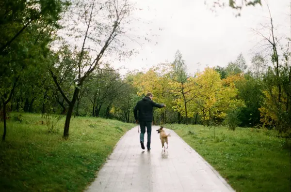 Best Dog Parks in Portland, OR