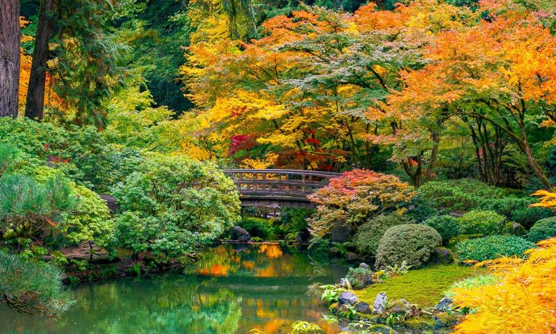 portland japanese garden