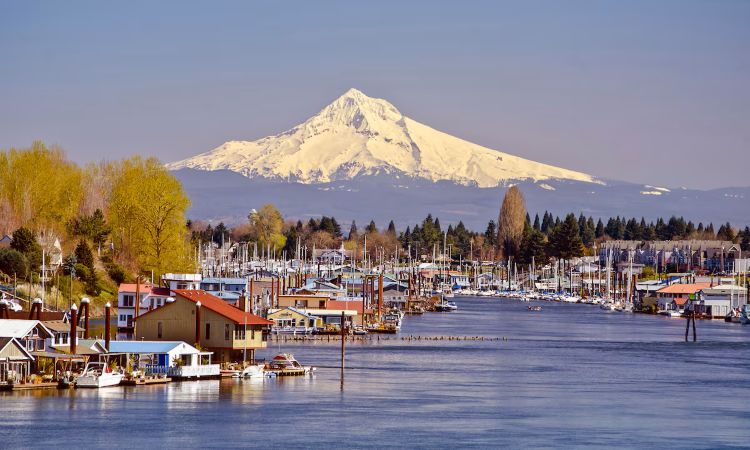 lake oswego neighborhood