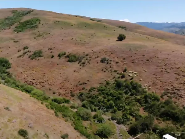 TBD Middle Fork Road, Council, ID 83612