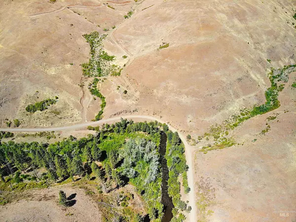 TBD Middle Fork Road, Council, ID 83612