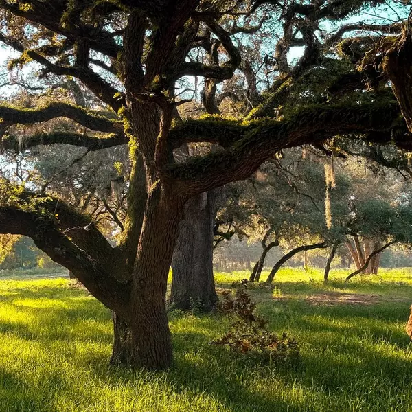 1280 US 90A HWY, Weimar, TX 77475