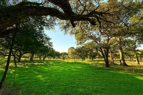 1280 US 90A HWY, Weimar, TX 77475