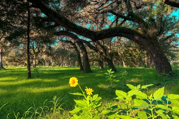 1280 US 90A HWY, Weimar, TX 77475