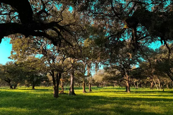 1280 US 90A HWY, Weimar, TX 77475