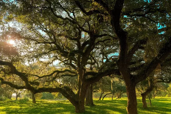 1280 US 90A HWY, Weimar, TX 77475