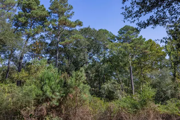 25490 N Clear Creek RD, Hockley, TX 77447