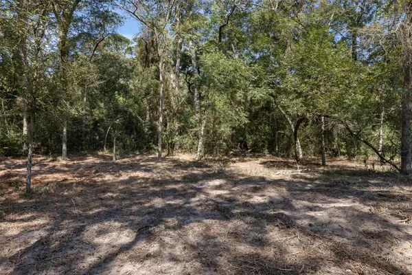 25490 N Clear Creek RD, Hockley, TX 77447