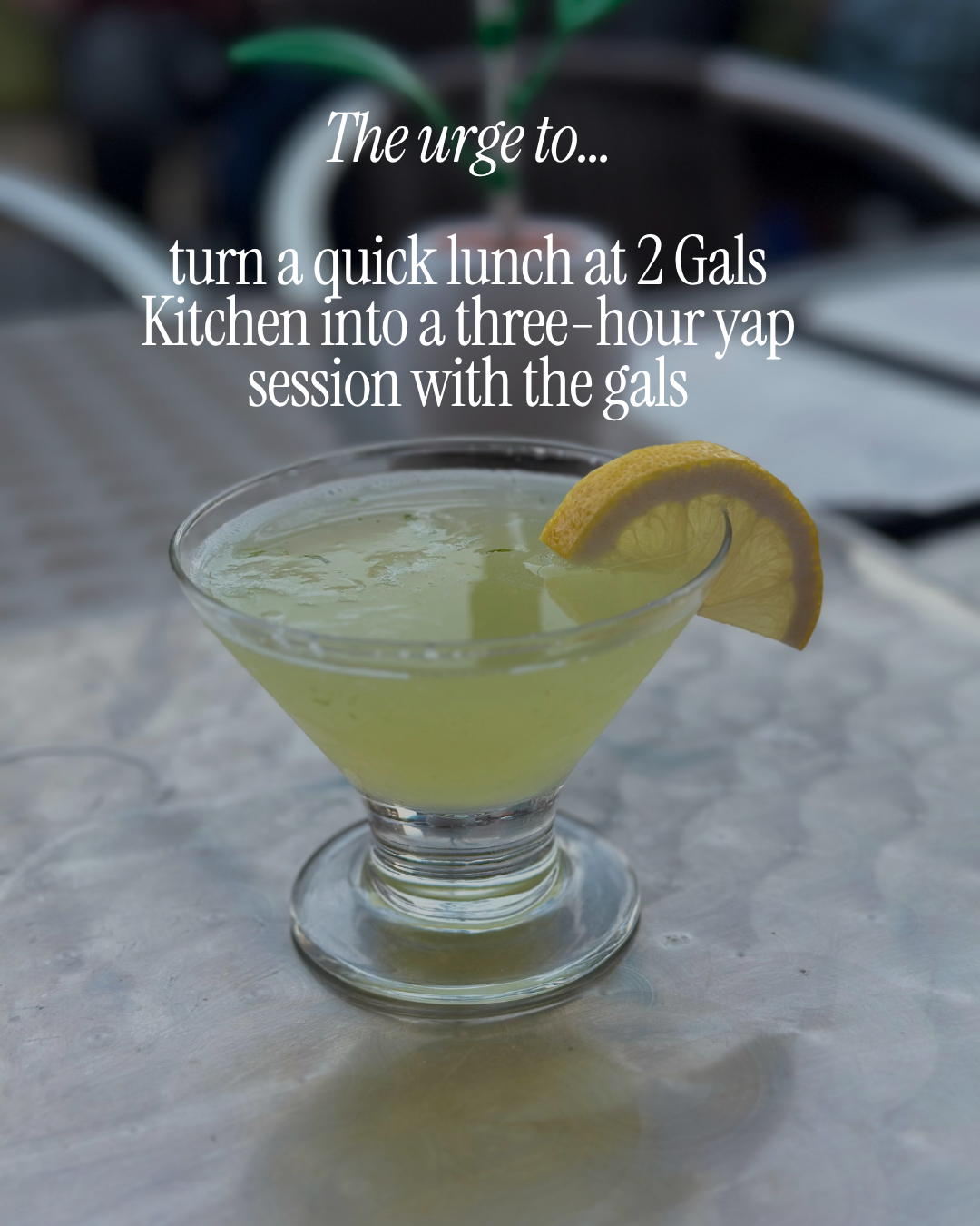 2 gals kitchen lunch in concord nc