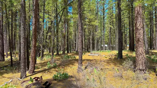 XXX Second Street, Portola, CA 96122