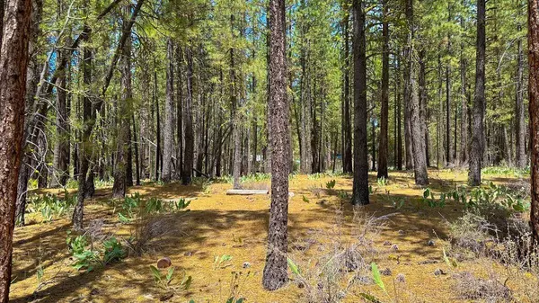 XXX Second Street, Portola, CA 96122