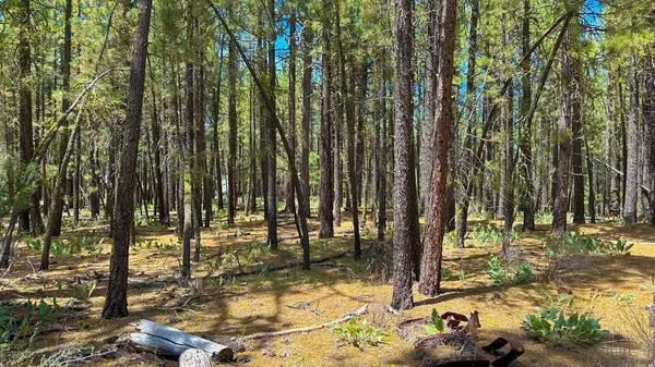 XXX Second Street, Portola, CA 96122