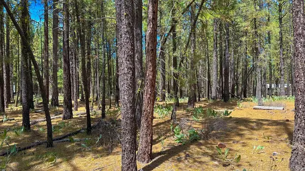 XXX Second Street, Portola, CA 96122