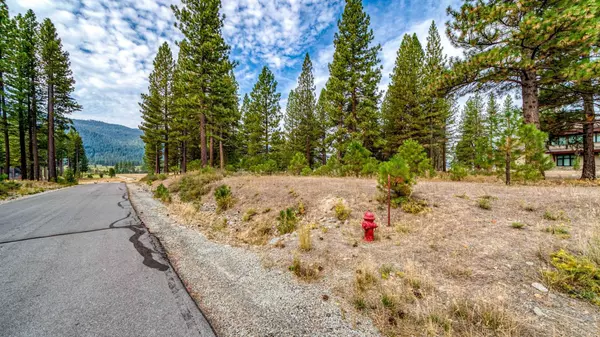 503 Redtail Loop, Clio, CA 96106