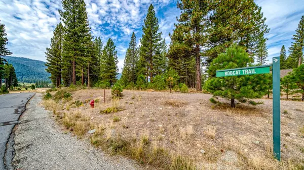 503 Redtail Loop, Clio, CA 96106