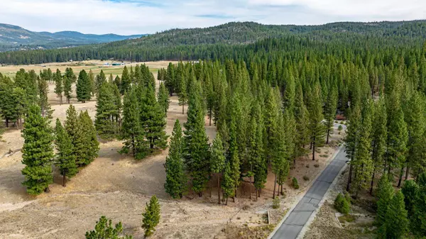 503 Redtail Loop, Clio, CA 96106