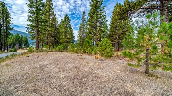 503 Redtail Loop, Clio, CA 96106
