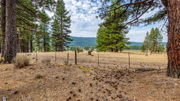 503 Redtail Loop, Clio, CA 96106