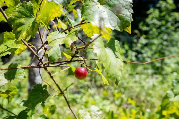 303 NW BRONCO TER, Lake City, FL 32055