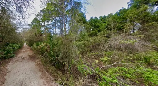 31217 LORINE ST, Deland, FL 32720