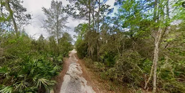 31217 LORINE ST, Deland, FL 32720