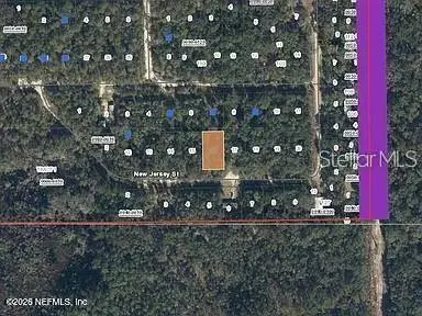 118 NEW JERSEY ST, Satsuma, FL 32189