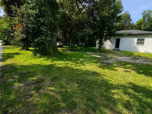547 LIVE OAK AVE