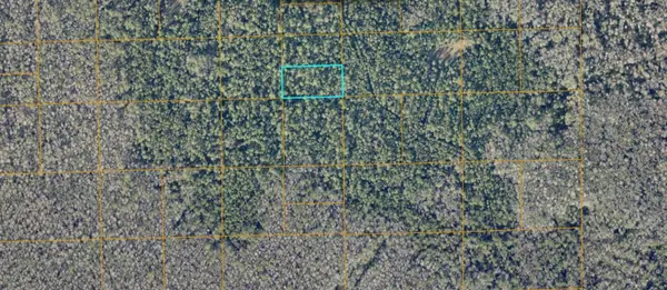 UNIMPROVED, De Leon Springs, FL 32130