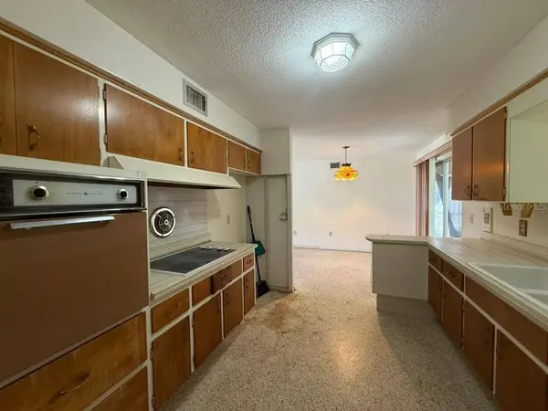 230 E ROBERTS ST, Orange City, FL 32763