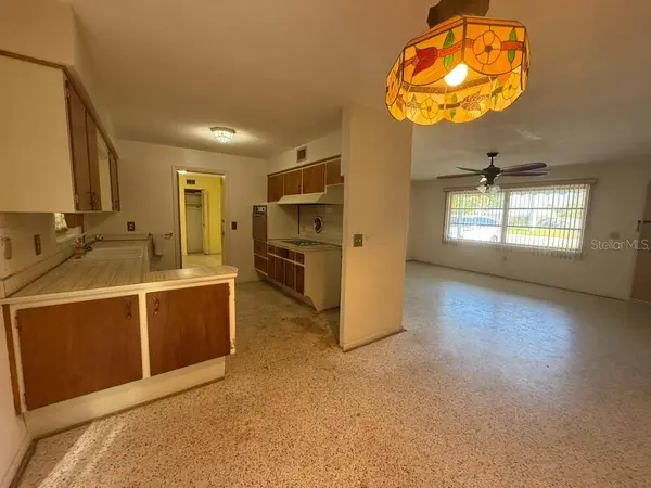 230 E ROBERTS ST, Orange City, FL 32763