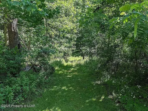 308 Small Mountain Road, Wapwallopen, PA 18660