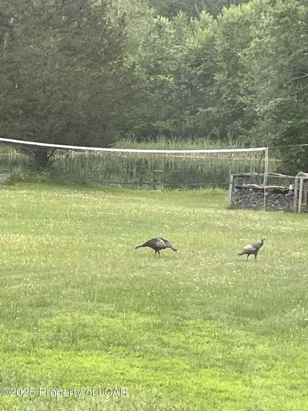 308 Small Mountain Road, Wapwallopen, PA 18660