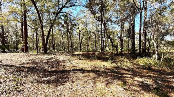 LINCOLN RD, Deland, FL 32724