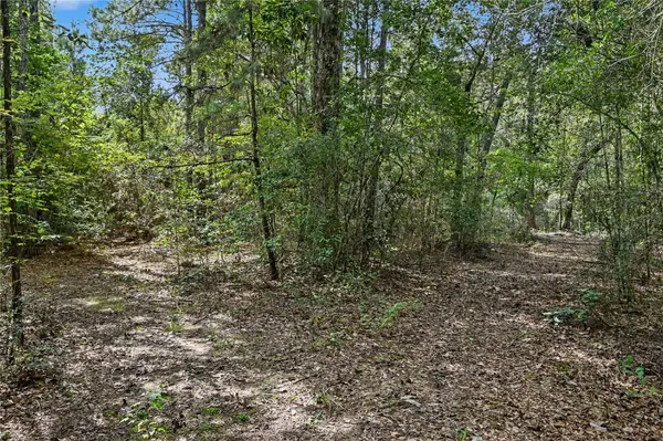 1153 Smith LN, Cleveland, TX 77328