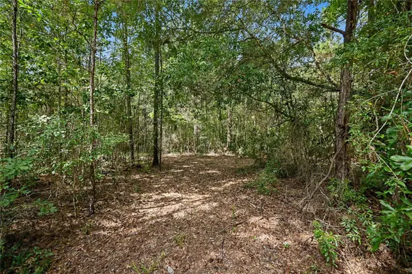 1153 Smith LN, Cleveland, TX 77328