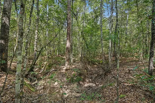 1153 Smith LN, Cleveland, TX 77328