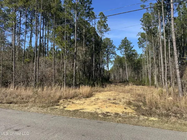 0 Mennonite Road, Gulfport, MS 39503