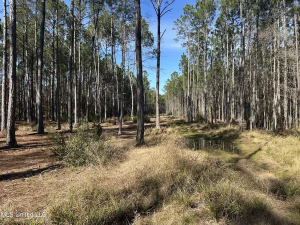 0 Mennonite Road, Gulfport, MS 39503