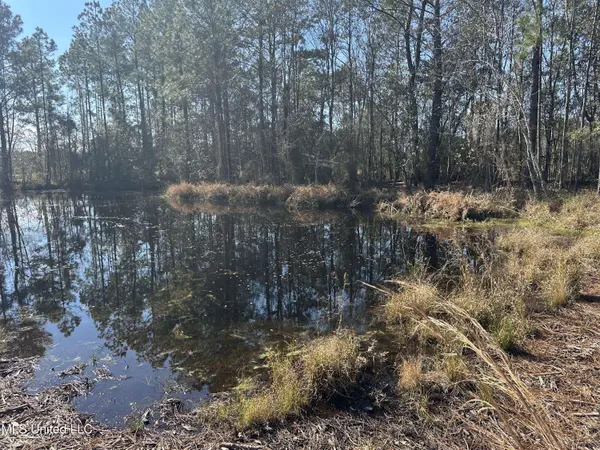 0 Mennonite Road, Gulfport, MS 39503