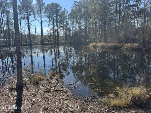 0 Mennonite Road, Gulfport, MS 39503