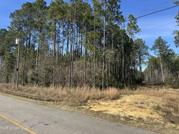 0 Mennonite Road, Gulfport, MS 39503