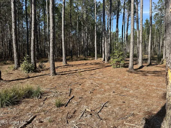 0 Mennonite Road, Gulfport, MS 39503