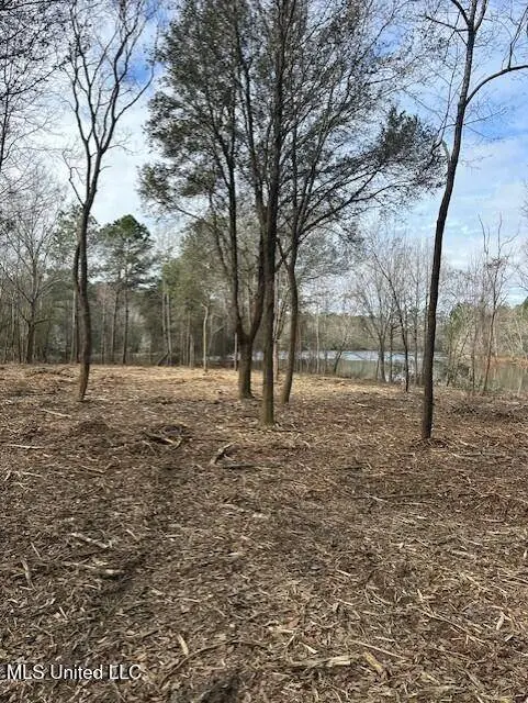 Ms 53 Lot 3, Gulfport, MS 39503