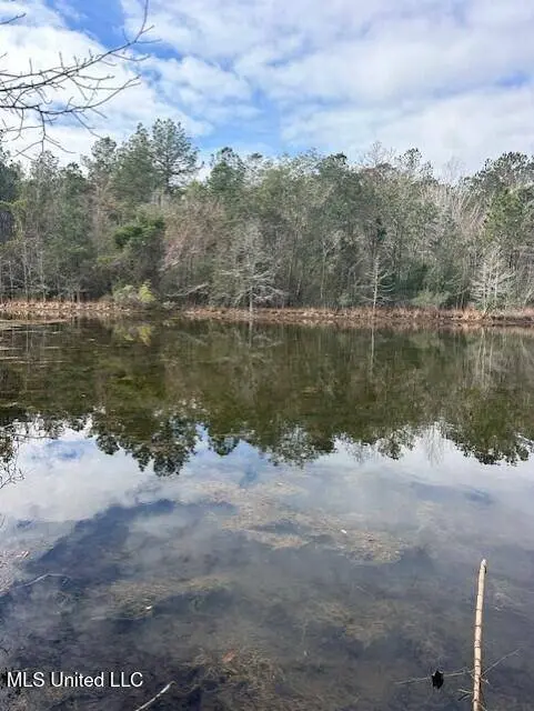 MS 53 Lot 4, Gulfport, MS 39503